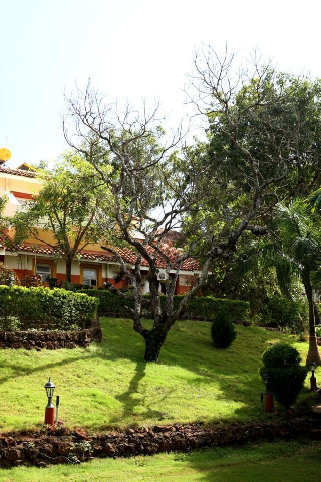 Nirvana Hermitage Anjuna Buitenkant foto